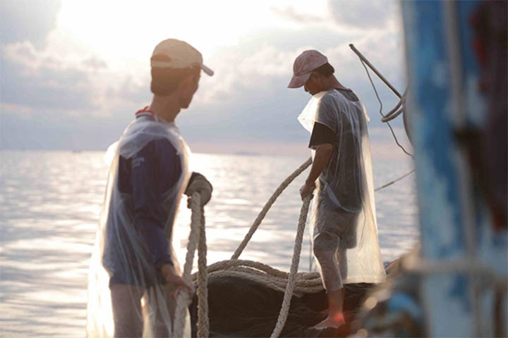 Nam Ngư Chinsu nguồn nguyên liệu cá cơm được chọn lọc